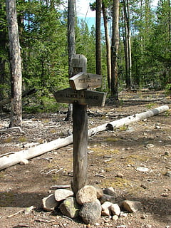 trail, sign, pointer, directions, choice, marker, trailhead, tree, plant, day, tree trunk, land, trunk, nature, forest, no people, growth, solid, outdoors, tranquility, wood - material, tranquil scene, spirituality, religion, stone - object, belief, cross, 1080P, CC0, public domain, royalty free