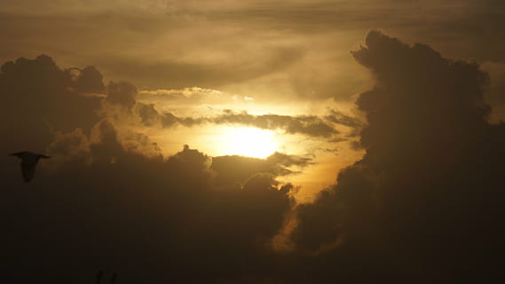 natureza, Dom, nuvens, por do sol, nuvem - céu, céu, cloudscape, clima, ao ar livre, luz solar, beleza na natureza, scenics - natureza, tranquilidade, cena tranquila, silhueta, ninguém, idílico, cor laranja, meio Ambiente, céu dramático, cena não urbana, sinistro, 4K, CC0, domínio público, royalty free