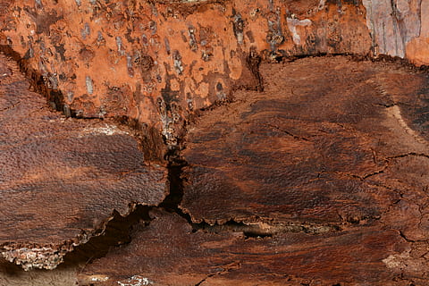 Baumrinde, schließen, Struktur, Textur, braun, Vollbild, Hintergründe, Rock, Rock - Objekt, keine Leute, texturiert, solide, Nahansicht, Geologie, Natur, Land, Umgebung, draußen, Geschichte, Felsformation, Tag, Muster, Nicht-städtische Szene, physische Geographie, Klima, Struktureffekt, geschichtet, 5K, CC0, gemeinfrei, lizenzfrei
