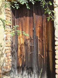porta, linee guida, opzione, pianta, legno - materiale, Entrata, giorno, nessuno, struttura costruita, architettura, natura, crescita, esterno dell'edificio, parete, all'aperto, parte vegetale, foglia, caratteristica della parete, Marrone, Casa, chiuso, costruzione, mattone, 2K, CC0, dominio pubblico, privo di copyright