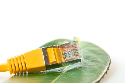 jaune, port lan, vert, feuille, câbles de réseau, rj45, pièce, câble patch, réseau, câble, ligne, traitement de l'information, rj-45, lien, prise de courant, lan, connecteur réseau, câble LAN, rj, macro, Matériel, ordinateur, edp, éco, fond blanc, prise de vue en studio, espace de copie, fermer, personne, à l'intérieur, coupé, nature morte, tranche, deux objets, l'Internet, groupe d'objets, La technologie, affaires, multi couleur, groupe, la finance, 2K, CC0, domaine public, libre de droits