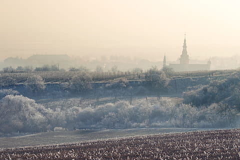 zmrazené vesnice, pole stromů, zamrzlý, vesnice, kostel, panoráma města, architektura, slavné místo, katedrála, nikdo, Příroda, venku, krajina, mlha, klid, exteriér budovy, strom, rostlina, stavba, nebe, náboženství, budova, životní prostředí, místo uctívání, víra, věž, den, duchovno, destinace, 5K, CC0, veřejná doména, bez autorských práv