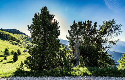 soare, rază de soare, nori, cer, natură, peisaj, munţi, dolomitele, tiroul de sud, panoramă, cer albastru, larice, Zirm, luncă, pajiștea alpină, plantă, copac, frumusețe în natură, scenice - natura, creştere, liniște, o scenă liniștită, teren, Culoarea verde, zi, nici o persoana, iarbă, lumina soarelui, mediu inconjurator, scenă non-urbană, nor - cer, camp, în aer liber, Brad, conifer, pini de pădure, 5K, CC0, domeniu public, fără drepturi de autor