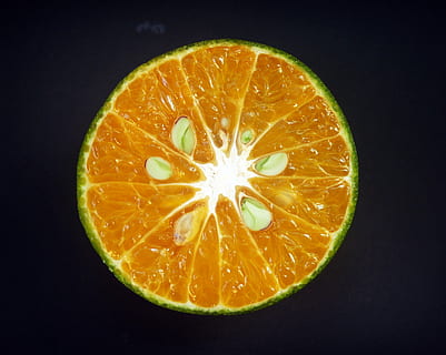 Orange, Obst, Scheibe, Weiß, Zitrusfrüchte, sauer, isoliert, Landwirtschaft, organisch, Makro, Vitamin, frisch, Gesundheit, Lebensmittel, saftig, essbar, Zitrusfrucht, Frische, reif, Orangenfrucht, Nahansicht, gesundes Essen, Natur, Kreuzung, Wohlbefinden, orange Farbe, Studioaufnahme, Essen und Trinken, Kreis, Geometrische Figur, drinnen, keine Leute, schwarzer Hintergrund, einzelnes Objekt, Antioxidans, 2K, CC0, gemeinfrei, lizenzfrei