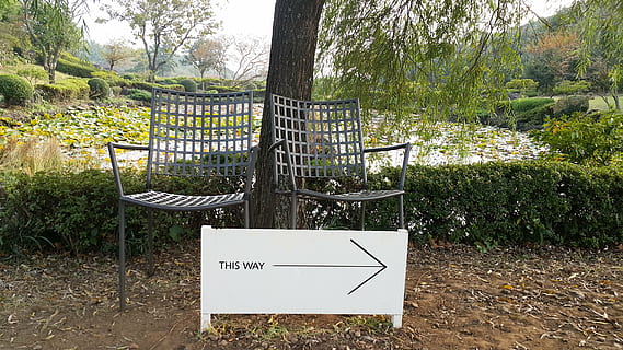arrow, signs, bench, pause, jeju island, wood, nature, walk, water, plant, tree, day, no people, growth, land, grass, absence, seat, field, outdoors, text, communication, park, trunk, tree trunk, chair, park - man made space, empty, 5K, CC0, public domain, royalty free