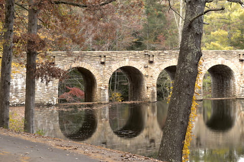 pietra, ponte, diga, ponte - struttura fatta dall'uomo, fiume, arco, albero, architettura, natura, struttura costruita, acqua, connessione, riflessione, pianta, ponte ad arco, nessuno, giorno, all'aperto, mezzi di trasporto, storia, lungomare, colonna architettonica, arcuato, 4K, CC0, dominio pubblico, privo di copyright