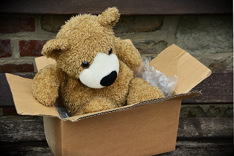 braun, Bär, Plüsch-, Spielzeug, Box, Paket, gemacht, Verpackung, senden, Pappschachtel, Karton, Versand, Teddybär, Teddy, Plüschtier, Bären, ausgestopftes Tier, Kindheit, keine Leute, ausgestopft, Panda - Tier, Tag, Kasten - Behälter, Darstellung, Weichheit, Container, drinnen, Nahansicht, einzelnes Objekt, Stillleben, Papier-, Menschen, 5K