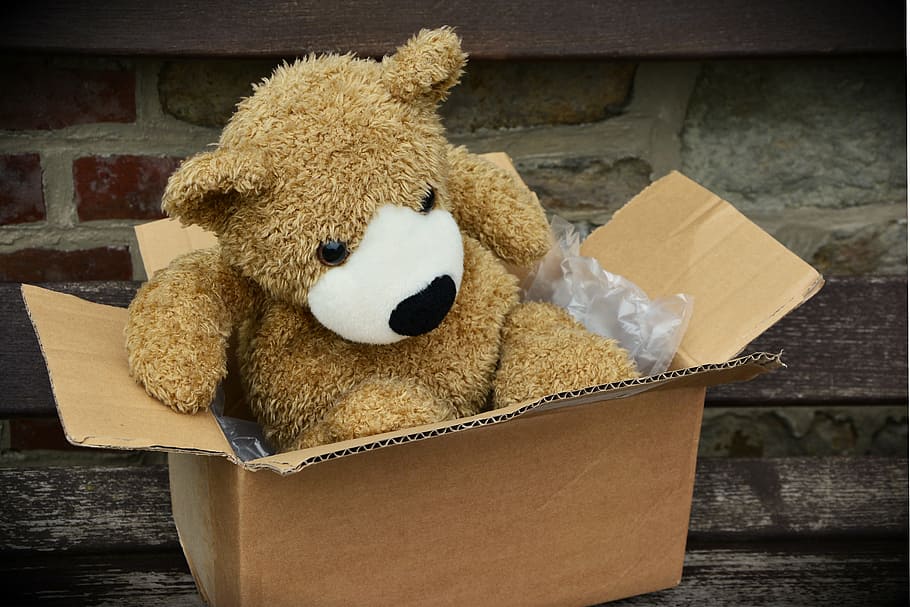 marró, suportar, felpa, joguina, Caixa, paquet, fet, envasos, enviar, Caixa de cartró, cartró, Enviament, osset de peluix, peluix, joguina suau, óssos, animal de peluix, joguina de peluix, infància, cap gent, farcit, panda - animal, dia, caixa-contenidor, representació, suavitat, contenidor, a l'interior, primer pla, sol objecte, natura morta, paper, gent, 5K