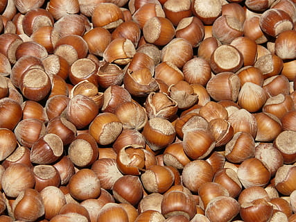 tumpukan chestnut, kacang hazel, coklat, gila, Buka, kerang, pasar, dekat, makro, makanan, merapatkan, latar belakang, alam, organik, sekelompok besar objek, makanan dan minuman, bingkai penuh, kelimpahan, kacang, kesegaran, kesejahteraan, masih hidup, kacang - makanan, makan sehat, tampilan sudut tinggi, tidak ada orang, kemiri, dalam ruangan, kastanye - makanan, hari, 2K, CC0, domain publik, bebas royalti