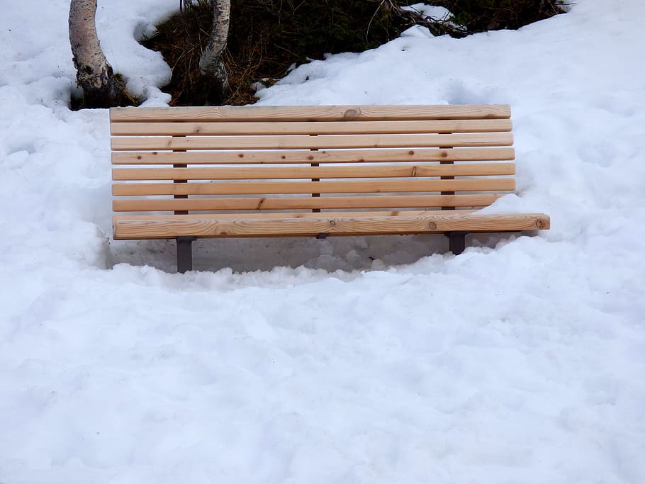 banc, neige, parc, hiver, saison, Météo, de plein air, personne, du froid, température froide, couleur blanche, la nature, beauté dans la nature, bois - matériau, journée, tranquillité, couvrant, champ, siège, terre, paysages - nature, congelé, en plein air, scène tranquille, conditions météorologiques extrêmes, banc de parc, montagne au sommet enneigé, poudreuse, 4K