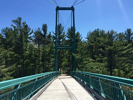 bridge, path, walkway, empty, trees, sky, landscape, nature, travel, outdoor, way, scenic, park, green, summer, adventure, pathway, natural, crossing, forest, bridge - Man Made Structure, tree, outdoors, plant, connection, railing, the way forward, built structure, architecture, footbridge, direction, growth, day, transportation, blue, no people, diminishing perspective, 1080P, CC0, public domain, royalty free