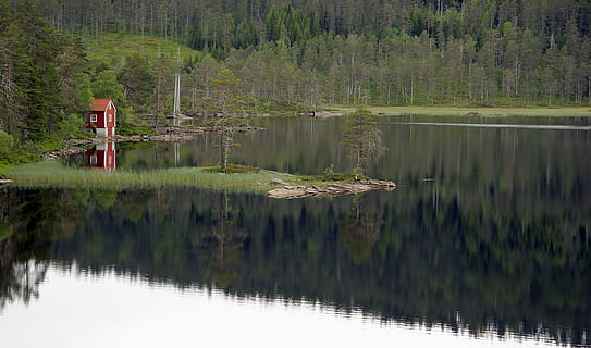 red, house, body, water, daytime, surrounded, trees, barn, lake, reflection, forest, tree, cabin, nature, landscape, scenics, outdoors, tranquil Scene, woodland, beauty In Nature, green Color, no People, sky, summer, landscapes, color Image, river, day, tranquility, scenics - nature, plant, non-urban scene, land, environment, idyllic, reflection lake, coniferous tree, 4K, CC0, public domain, royalty free