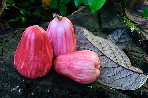 owoc, Słodkie, czerwony, Gruszka, jedzenie, naturalny, zdrowy, dieta, organiczny, surowy, świeżość, świeży, soczysty, pożywny, rustykalny, drewno, wegetariański, deser, martwa natura, jedzenie i picie, zdrowe odżywianie, liść, zbliżenie, część rośliny, dobre samopoczucie, żadnych ludzi, dzień, Natura, roślina, warzywo, wzrost, na dworze, kolor różowy, wysoki kąt widzenia, 5K, CC0, domena publiczna, darmowe zdjęcia