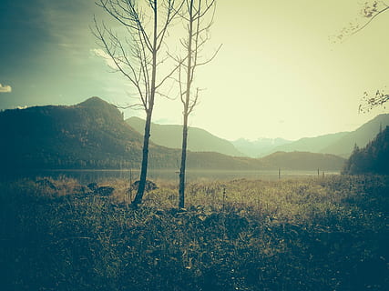 Foto, bar, tee, berg, fotografera, flod, grön, gräs, träd, sjö, vatten, kust, solljus, solnedgång, soluppgång, moln, landskap, natur, inget folk, skönhet i naturen, lugn plats, scenics, lugn, fält, utomhus, himmel, växt, miljö, scenics - natur, bergskedja, icke-urbana scenen, landa, dag, tillväxt, nakna träd, 2K, CC0, offentligt domän, royaltyfria