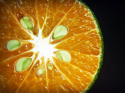 Orange, Obst, Scheibe, Weiß, Zitrusfrüchte, sauer, isoliert, Landwirtschaft, organisch, Makro, Vitamin, frisch, Gesundheit, Lebensmittel, saftig, essbar, gesundes Essen, Essen und Trinken, Nahansicht, Wohlbefinden, Frische, keine Leute, Zitrusfrucht, Studioaufnahme, drinnen, orange Farbe, schwarzer Hintergrund, einzelnes Objekt, Kreuzung, Stillleben, grüne Farbe, Natur, 2K, CC0, gemeinfrei, lizenzfrei