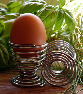 telur, pemegang, eggcup, kulit, mentah, kulit telur, matang, coklat, makanan dan minuman, makanan, kesejahteraan, makan sehat, merapatkan, meja, tidak ada orang, kesegaran, masih hidup, dalam ruangan, fokus pada latar depan, alam, daun, bagian tanaman, makanan mentah, warna hijau, hari, sarapan, 2K, CC0, domain publik, bebas royalti