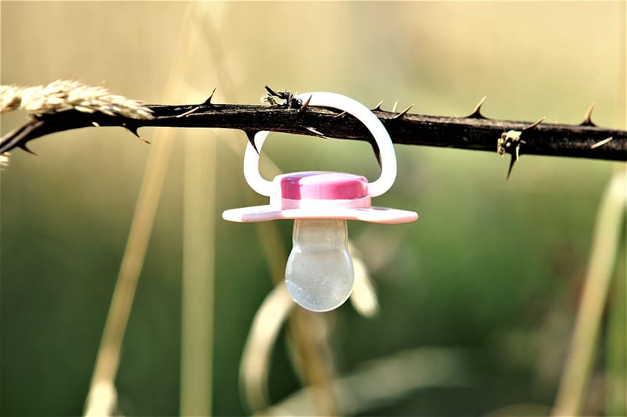 xumet, piruleta, plàstic, nuggi, herba, naturalesa, nadó, seguretat, protecció, cap gent, penjant, aigua, centrar-se en primer pla, planta, primer pla, dia, a l'aire lliure, llum solar, branca, cable, color rosa, tanca, estenedor, enfocament selectiu, metall, arbre, cura, 2K
