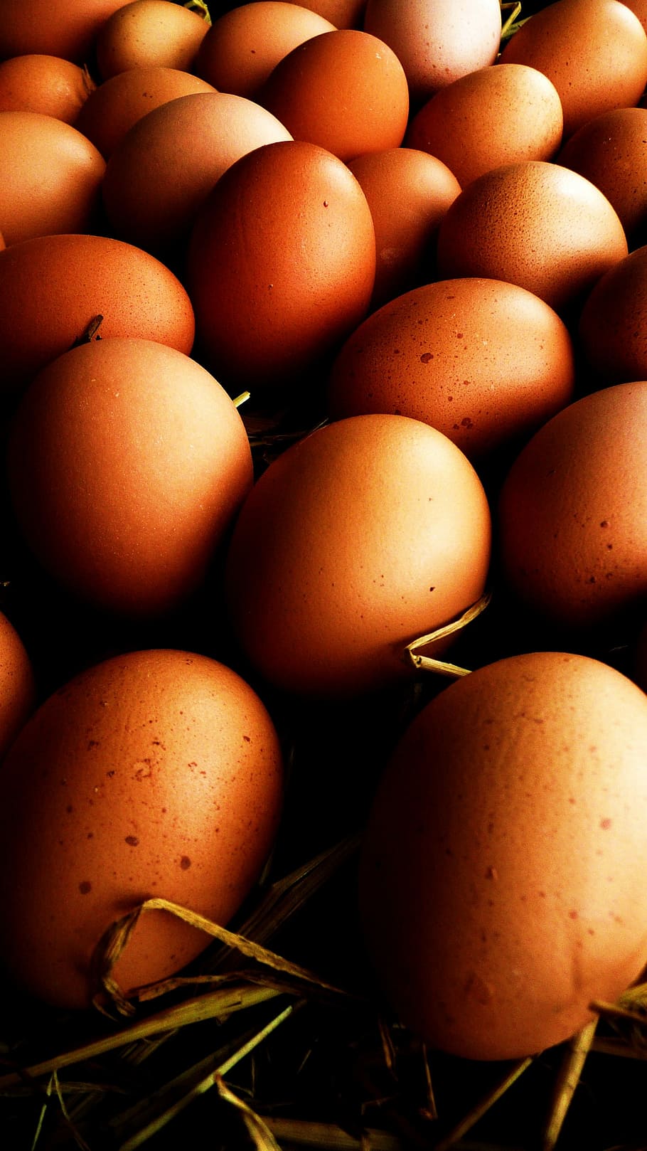 ous, palla, ou, blanc, ecru, menjar, ou, blanc, fresc, orgànic, crua, menjar i beguda, agricultura, cap gent, alimentació saludable, gran grup d'objectes, benestar, frescor, primer pla, aliments crus, marc complet, marró, fons, natura morta, abundància, fruita, naturalesa, dia, vegetals, contenidor, 2K