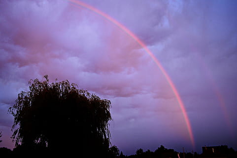 foto de la silueta, arbre, arc de Sant Martí, posta de sol, tempesta, núvols, Ventós, vespre, la tempesta de reunió, núvol - cel, cel, bellesa a la natura, naturalesa, planta, escenics - natura, vista d’angle baix, multicolor, cap gent, arquitectura, a l'aire lliure, cel dramàtic, silueta, humit, porpra, doble arc de Sant Martí, pista de vapor, poder a la natura, 5K, CC0, domini públic, lliure de regalies