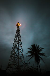 grau, Metall-Satellitenturm, niedrig, Winkel Foto, Metallturm, Turm, Nacht-, Baum, Licht, Langzeitbelichtung, Silhouette, Struktur, hoch, Leistung, Pylon, Flachwinkelansicht, Himmel, große Höhe, gebaute Struktur, die Architektur, Natur, Pflanze, wolke - himmel, keine Leute, draußen, beleuchtet, Gebäudehülle, Palme, tropisches Klima, Dämmerung, 5K, CC0, gemeinfrei, lizenzfrei