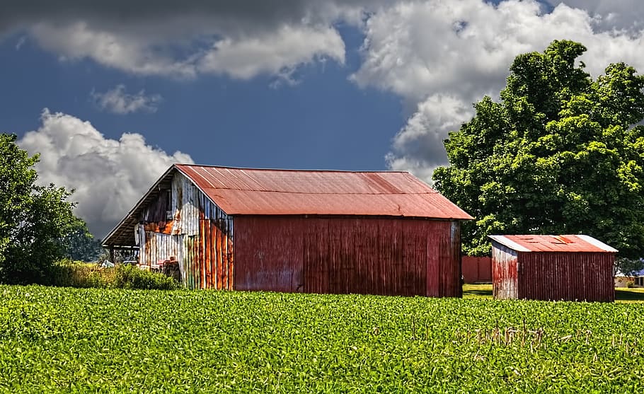 graner, rústic, graners, ohio, vermell, verd, blau, art digital, rural, escènic, país, camp, paisatge, cobert, coberts, granja, granges, agricultura, agrícola, Masia, campanar, comtat, americana, foto, fotografia, estructura, estructures, sturgell, William Sturgell, factura sturgell, històric, decoració de la llar, edificis, núvols, cel, arbre, arbres, ennuvolat, cels, males herbes, comtat del campanar, urbana, núvol - cel, planta, arquitectura, estructura construïda, exterior de l'edifici, casa, edifici, terra, color verd, escena rural, naturalesa, creixement, herba, dia, edifici agrícola, cap gent, 2K