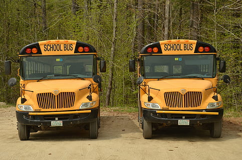 Due, giallo, scuolabus, giorno, America, autobus, scuola, trasporto, bambino, modo di trasporto, veicolo terrestre, mezzi di trasporto, testo, albero, terra, nessuno, comunicazione, natura, all'aperto, pianta, sceneggiatura occidentale, campo, città, trasporto pubblico, stazionario, luce del sole, 4K, CC0, dominio pubblico, privo di copyright