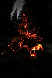 api unggun di hutan, fotografi fokus, kayu bakar, waktu malam, api, percikan, pembakaran, api unggun, suhu panas, api - fenomena alam, gerakan, malam, tidak ada orang, alam, warna oranye, paparan panjang, gerakan kabur, merapatkan, lingkungan Hidup, bersinar, tanah, log, di luar rumah, kayu, gelap, latar belakang hitam, 8K, CC0, domain publik, bebas royalti