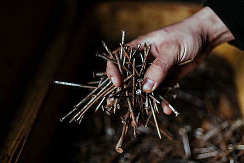 nails, bolts, workshop, Tools, wooden, metal, nuts, diy, garage, shed, repair, spanner, human Hand, close-up, men, people, human body part, one animal, one person, night, hand, holding, food, focus on foreground, food and drink, body part, animal wildlife, day, selective focus, invertebrate, animals in the wild, finger, outdoors, human limb, 5K