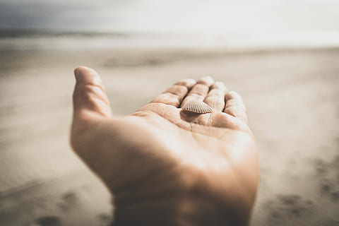 blanc, clamshell, esquerra, humà, palmell, persona, celebració, petxina de mar, vora del mar, mà, shell, platja, sorra, paisatge, part del cos humà, mà humana, mar, una persona, terra, aigua, naturalesa, part del cos, primer pla, centrar-se en primer pla, enfocament selectiu, dia, festa, a l'aire lliure, cel, joieria, peu humà, extremitat humana, 8K, CC0, domini públic, lliure de regalies