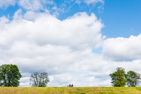 two, person, sitting, bench, trees, white, cloud, blue, skies, cloudscape, persons, filed, meadow, grass, sky, summer, nature, farmland, agricultural, countryside, view, cloud - sky, plant, tree, land, environment, field, beauty in nature, day, landscape, scenics - nature, men, tranquil scene, outdoors, mammal, tranquility, non-urban scene, 5K, CC0, public domain, royalty free