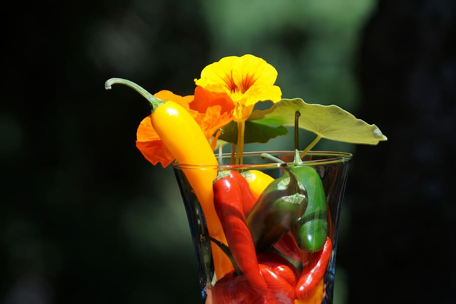 Paprika, Scharf, Peperoni, Chili, Koch, Zutat, Gemüse, rot, Gelb, Küche, Blume, blühende Pflanze, Frische, Pflanze, Essen und Trinken, Nahansicht, Trinkglas, Glas, Haushaltsausstattung, Natur, Getränk, Lebensmittel, Erfrischung, Fokus auf den Vordergrund, orange Farbe, mehrfarbig, Glas - Material, keine Leute, Cocktail, draußen, Garnierung, 5K