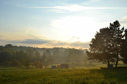 matahari, pohon, langit biru, langit, lansekap, pagi, biru, langit, pemandangan, alam, bidang, ketenangan, adegan yang tenang, menanam, keindahan di alam, lingkungan Hidup, tanah, scenics - alam, kabut, awan - langit, rumput, tidak ada orang, pertumbuhan, sinar matahari, adegan non-urban, di luar rumah, 2K, CC0, domain publik, bebas royalti