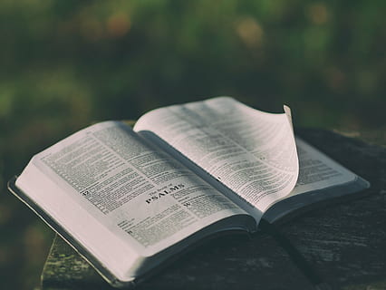 white, book page, brown, surface, bible, marble, top, daytime, still, items, things, book, psalms, pages, open, leaves, read, lines, bokeh, text, focus on foreground, no people, close-up, day, indoors, publication, education, page, communication, still life, spirituality, religion, belief, paper, table, learning, expertise, literature, studying, textbook, 4K
