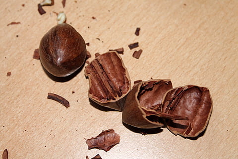 nutshell, nuts, nutshells, pecan, brown, close-up, food, backgrounds, seed, food and drink, nut - food, nut, no people, still life, freshness, table, wood - material, dried food, chestnut - food, dry, indoors, high angle view, wellbeing, nature, leaf, snack, 1080P, CC0, public domain, royalty free