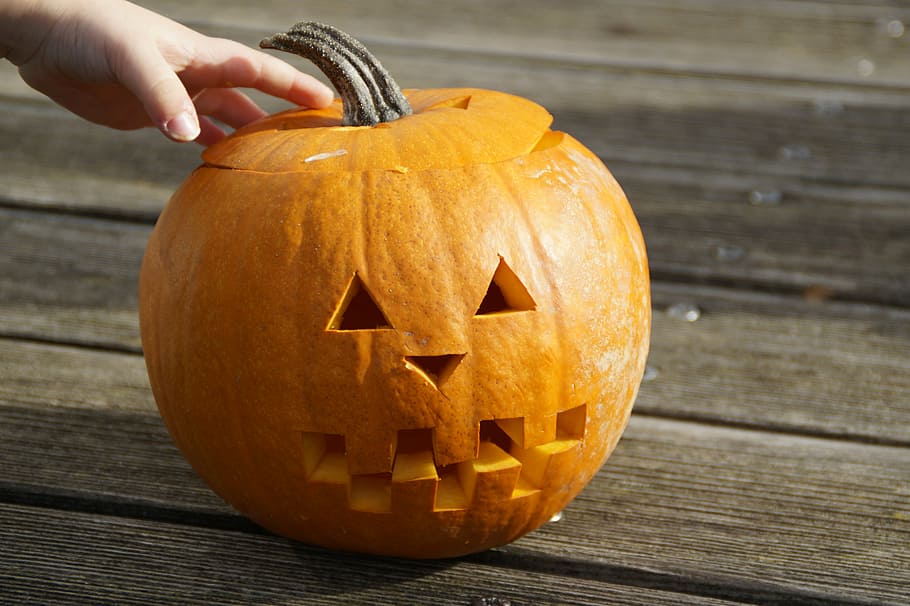 persona, tocar, carbassa de Halloween, marró, fusta, superfície, carbassa, carabasses, taronja, brillant, tardor, decoració de tardor, estacional, decoratiu, decoració, acció de gràcies, Halloween, halloween kuerbis, fantasma de carbassa, nen, nens, diversió, temps de tardor, truc o tracte, somrient, talla - producte artesanal, octubre, llanterna, festa, color taronja, material de fusta, horror, temporada, fantasmal, menjar i beguda, menjar, celebració, artesania, creativitat, cara antropomòrfica, cara, una persona, taula, part del cos humà, antropomòrfic, mà humana, mà, a l'aire lliure, 5K