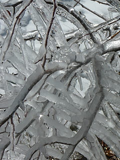 buz, icicles, kış, soğuk, dondurulmuş, doğa, kristal, vınlama, doğal, ze, Arktik, soğuk hava, kar, bütün çerçeve, insansız, arka, gün, kapatmak, şube, Beyaz renk, buz saçağı, ağaç, açık havada, bitki, doğada güzellik, erime, 2K, CC0, kamu malı, telif ücretsiz
