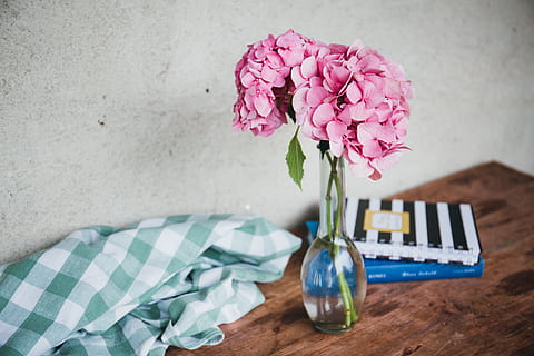 açık, cam vazo, pembe, Çiçekler, kahverengi, ahşap, tablo, hydrangeas, çiçek, bardak, vazo, buket, ahşap malzeme, insansız, dekorasyon, içeriye, çiçekli bitki, bitki, tazelik, pembe renk, doğada güzellik, doğa, kırılganlık, Güvenlik açığı, kapatmak, çiçek kafa, natürmort, Çiçek aranjmanı, cam malzemesi, aranjman, Çiçek demeti, 5K, CC0, kamu malı, telif ücretsiz