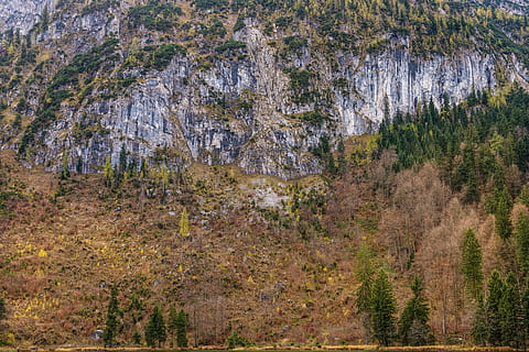 Steinwand, Berg, imposant, alpin, Bäume, Wandern, steigen, hoch, Höhe, steil, Wand, Pflanze, Baum, Schönheit in der Natur, Land, Ruhe, ruhige Szene, Szenen - Natur, Nicht-städtische Szene, Wald, Natur, keine Leute, Tag, Wachstum, Landschaft, Umgebung, grüne Farbe, draußen, Rock, Fernbedienung, Nadelbaum, Formation, Kiefer, Kiefernwald, 5K, CC0, gemeinfrei, lizenzfrei