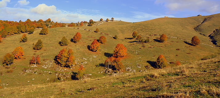 escursione, alberi, autunno, pista, montagna, il percorso europeo, e5, Lessinia, Italia, ambiente, paesaggio, terra, cielo, scenics - natura, natura, pianta, solido, nuvola - cielo, nessuno, viaggio, bellezza nella natura, destinazioni di viaggio, roccia, roccia - oggetto, semi arido, giorno, scena non urbana, la tranquillità, all'aperto, clima, 5K, CC0, dominio pubblico, privo di copyright