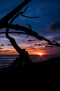 kysten, gylden, time, solnedgang fotografering, strand, solnedgang, stjerne, Sky, horisont, kyst, kystlinjen, himmel, mørk, nat, astrofotografering, astronomi, sol, blå, orange, træ, branche, afdeling, bølge, sky - himmel, silhuet, jord, vand, skønhed i naturen, scenics - natur, orange farve, natur, hav, ro, dramatisk himmel, rolig scene, udendørs, ingen mennesker, ikke-urbane scene, skumring, 5K, CC0, offentligt domæne, royaltyfrie