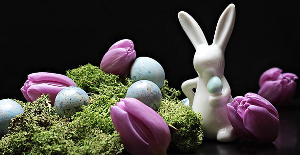 blanc, ceràmica, figureta de conill, porpra, tulipes, blau, ous, conill blanc, figureta, pètal, flor, llebre, conill de Pasqua, Pasqua, primavera, figura, tulipes morades, flors morades, decoració, decoració de pasqua, molsa, ou, ous blaus, dekoeier, deco, Feliç Pasqua, salutació de pasqua, tema de pasqua, costums, invitació, estat de Pasqua, salutacions de pasqua, tradició, consum de primavera, mapa, targeta de felicitació, postal, salutació, flors, naturalesa, color rosa, tulipa, planta, color verd, imatge en color, cap gent, primer pla, tir de l'estudi, fons negre, frescor, menjar, menjar i beguda, vegetals, a l'interior, creixement, alimentació saludable, bellesa a la natura, planta amb flors, benestar, natura morta, 4K, CC0, domini públic, lliure de regalies