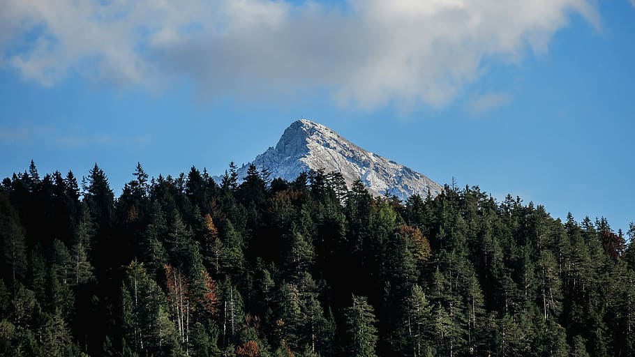 arbres, gases, cima de la muntanya, Austràlia, núvols, bosc, muntanya, domini públic, escènic, cel, naturalesa, escenics, cim de muntanya, paisatge, a l'aire lliure, arbre, Serra, núvol - cel, destinacions de viatge, cap gent, dia, planta, escenics - natura, bellesa a la natura, terra, pi, neu, medi ambient, hivern, escena tranquil·la, bosc de pi, muntanya nevada, arbre de coníferes, 5K