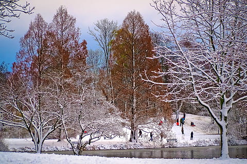zasněžené, stromy, daytimne, zimní, sníh, Studený, bílý, sněžení, jezero, kopec, děti, člověk, tobogán, zábava, radost, skluzavka, poboček, keř, zimní keře, nálada, sníh krajina, krajina, zasněžený, Příroda, zimní magie, zimní sen, les, zimní stromy, Nový Zéland, zimní les, zimní zima, mráz, prosinec, ledový, estetický, Procházka, strom, rostlina, studená teplota, holý strom, větev, den, krása v přírodě, nebe, skutečných lidí, klid, scenics - příroda, klidné scény, volnočasové aktivity, venku, architektura, životního stylu, teplé oblečení, 4K, CC0, veřejná doména, bez autorských práv