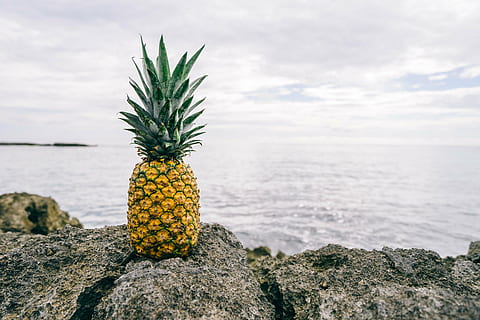 Ananasfrucht, Vorderseite, Karosserie, Wasser, Ananas, Dessert, Vorspeise, Obst, Saft, Ernte, Rock, Natur, Wolken, Himmel, Meer, Strand, keine Leute, draußen, Tag, Tropische Frucht, Schönheit in der Natur, Essen und Trinken, Rock - Objekt, solide, Lebensmittel, gesundes Essen, wolke - himmel, Szenen - Natur, Ruhe, 5K, CC0, gemeinfrei, lizenzfrei