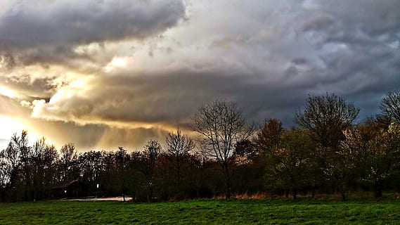 nuvole scure, nuvole, tempesta, pioggia, prima della tempesta, campo, natura, nuvola - cielo, Cloudscape, cielo, all'aperto, paesaggio, Paesaggi, cielo drammatico, tramonto, nuvoloso, tempo metereologico, crepuscolo, bellezza nella natura, nessuno, albero, pianta, la tranquillità, scenics - natura, scena tranquilla, ambiente, terra, crescita, erba, giorno, 2K, CC0, dominio pubblico, privo di copyright