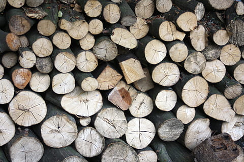 troncs d’arbres, textura, holzstapel, estructura, fons, paret de fusta, silvicultura, pila, fusta, Quant a, material de fusta, arbre, llenya, registre, indústria de la fusta, naturalesa, marró, bosc, cercle, Munt, tronc de l'arbre, material, patró, secció transversal, indústria, a l'aire lliure, pila de fusta, gran grup d'objectes, marc complet, abundància, desforestació, qüestions ambientals, cap gent, generació de combustible i energia, dia, combustibles fòssils, picat, anell d’arbre, 4K, CC0, domini públic, lliure de regalies