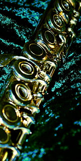 Flöte, Ring, Schlüssel, schließen, Klingeltasten, Musik-, Musikinstrument, Blasinstrument, Messing-, Trompete, Blechblasinstrument, keine Leute, Metall, Nahansicht, Fokus auf den Vordergrund, goldfarben, Baum, Pflanze, Tag, Natur, Musikausrüstung, glänzend, selektiver Fokus, Flachwinkelansicht, draußen, Kunst, Kultur und Unterhaltung, silberfarben, aufwendig, 1080P, CC0, gemeinfrei, lizenzfrei