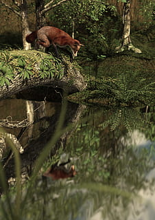 3d, render, bilgisayar grafikleri, kılmak, 3 boyutlu, sıva, orman, hayvan, fuchs, yansıtma, doğa, ağaç, olgun yetişkin, sadece bir erkek, tam uzunluk, sadece bir olgun adam, Sadece erkekler, hayvan temaları, bitki, hayvan yaban hayatı, vahşi hayvanlar, bir hayvan, Su, memeli, omurgalı, insansız, seçici odak, gün, göl, arazi, şube, yansıma, açık havada, 2K, CC0, kamu malı, telif ücretsiz