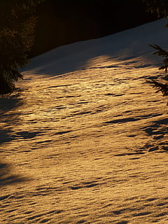 la neve, inverno, invernale, luce posteriore, d'oro, sole, albero, foresta, paesaggio, freddo, nevoso, romanza, amore, brama, natura, nessuno, all'aperto, Pino, Paesaggi, la tranquillità, bellezza nella natura, terra, scenics - natura, scena tranquilla, tramonto, pianta, acqua, giorno, idilliaco, luce del sole, cielo, scena non urbana, vista dall'alto, spiaggia, acqua corrente, fluente, 2K, CC0, dominio pubblico, privo di copyright