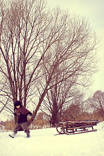 winter, war, difficult time, sani, village, firewood, hostilities, the germans, history, rus, forest, nature, coldsnap, cold, wartime, blockade, leningrad, volgograd, the ussr, blockade lenigrada, cold temperature, snow, tree, real people, one person, bare tree, leisure activity, full length, warm clothing, lifestyles, sky, day, plant, field, child, childhood, outdoors, 4K, CC0, public domain, royalty free